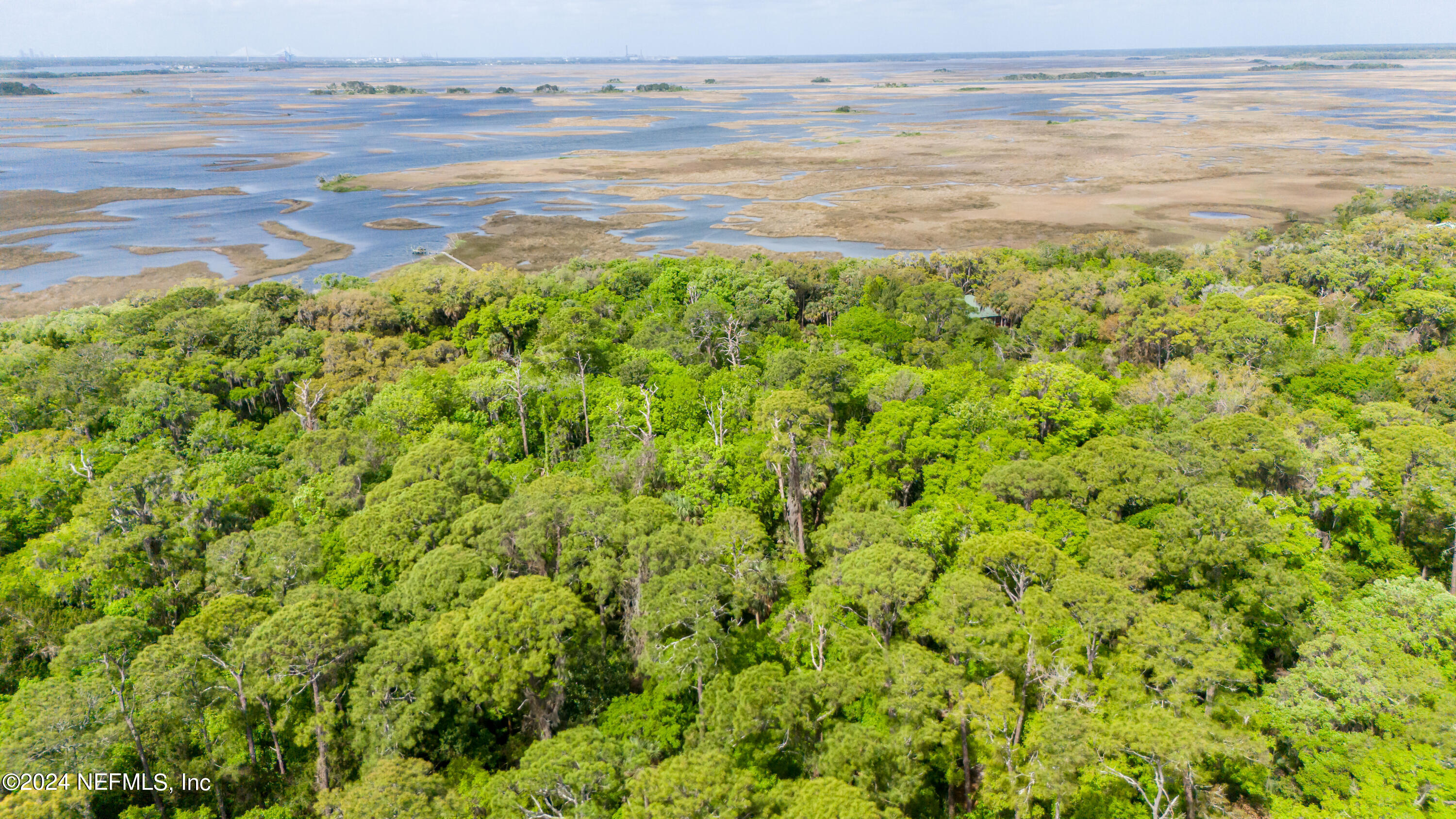 0 Salt Marsh Trail Jacksonville, FL 32226 - Photo 26 of 37 a view of an ocean and beach