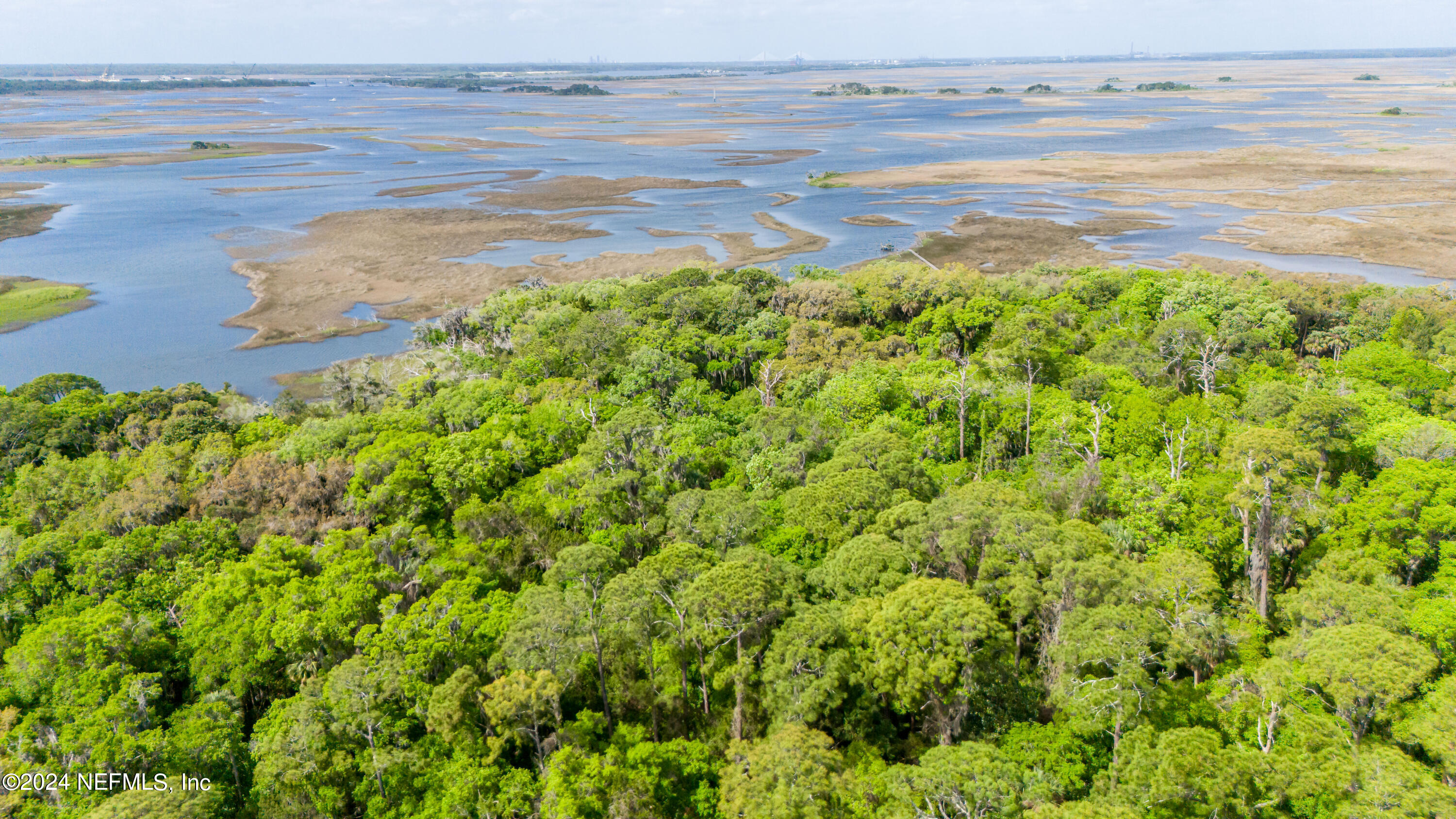 0 Salt Marsh Trail Jacksonville, FL 32226 - Photo 27 of 37 a view of a lake view