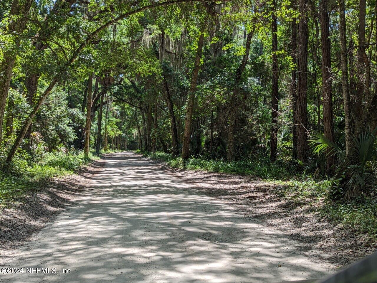 0 Salt Marsh Trail Jacksonville, FL 32226 - Photo 33 of 37 a view of a field with trees in the background