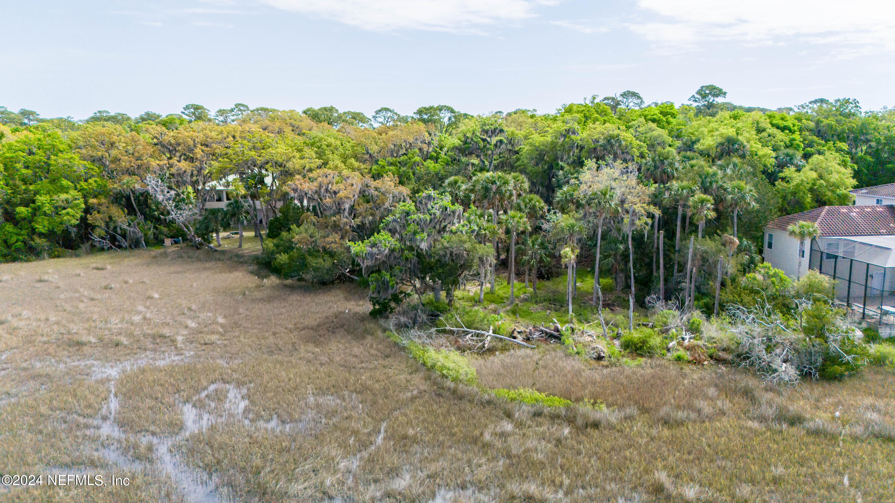 0 Salt Marsh Trail Jacksonville, FL 32226 - Photo 7 of 37 a view of a yard with plants and a bench