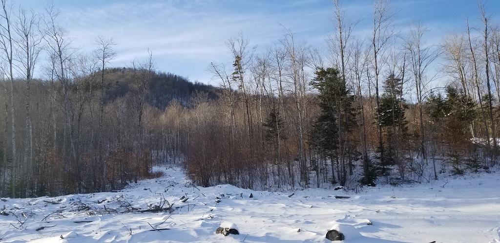 0 Easter Hill Road Roxbury, ME 04275 - Photo 56 of 56 20210107_144430