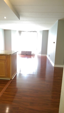 1 Renaissance Place, Unit 611 Palatine, IL 60067 - Photo 2 of 8