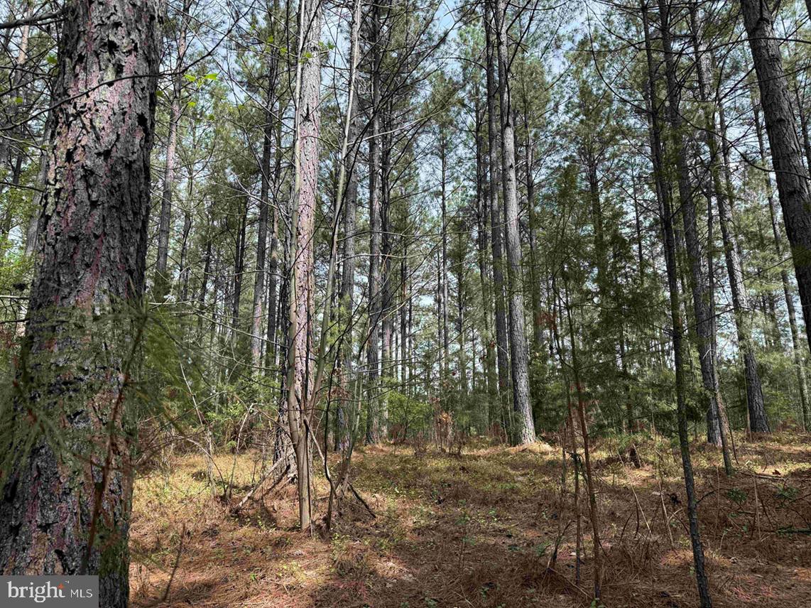 Bearskin Road Chatham, VA 24531 - Photo 6 of 15