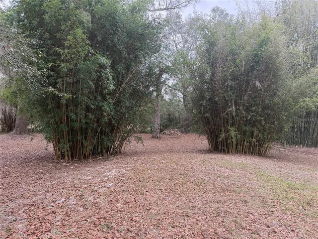 a view of a house with a yard and large tree