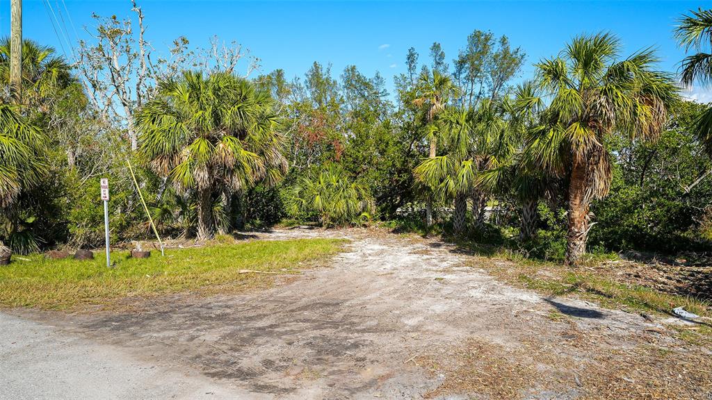 660 Longview Drive Longboat Key, FL 34228 - Photo 24 of 35 a view of a yard with a tree
