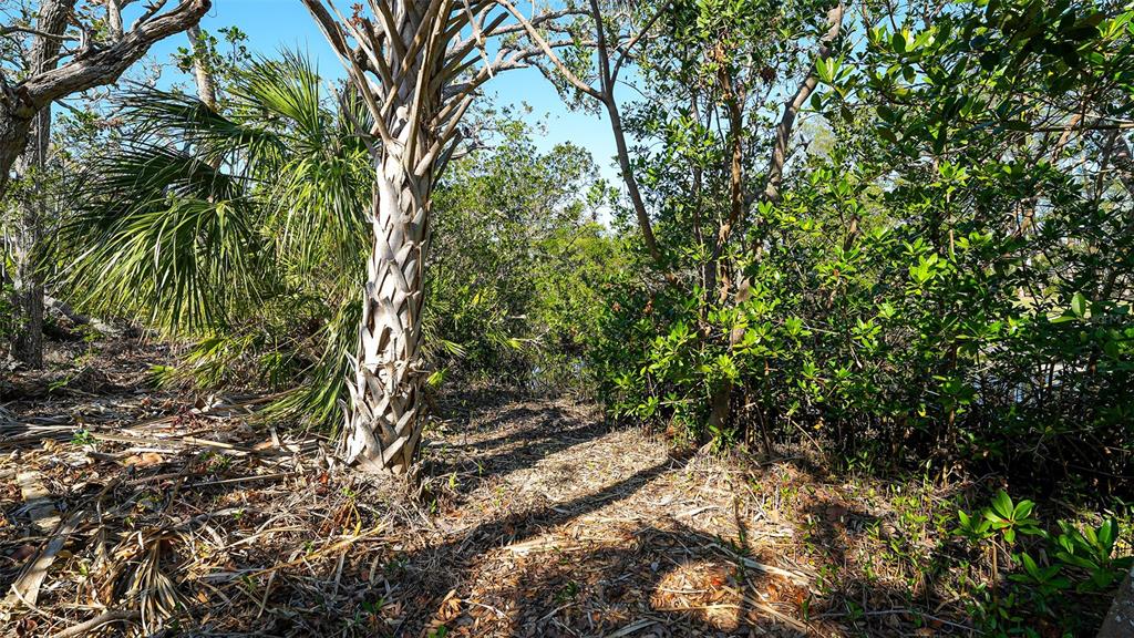 660 Longview Drive Longboat Key, FL 34228 - Photo 25 of 35 a view of a yard with a tree