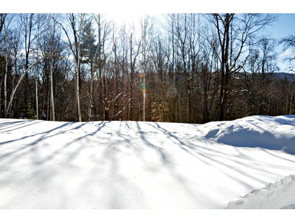 365 Terwilliger Hill Road Wardsboro, VT 05360 - Photo 15 of 18 Gallery Image 15