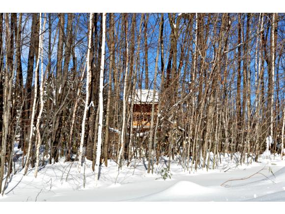 365 Terwilliger Hill Road Wardsboro, VT 05360 - Photo 16 of 18 Gallery Image 16
