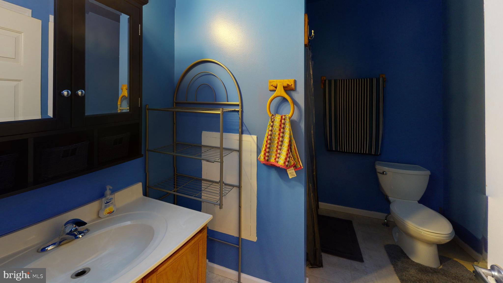 20865 Hummingbird Road Ellendale, DE 19941 - Photo 14 of 17 Master Bathroom