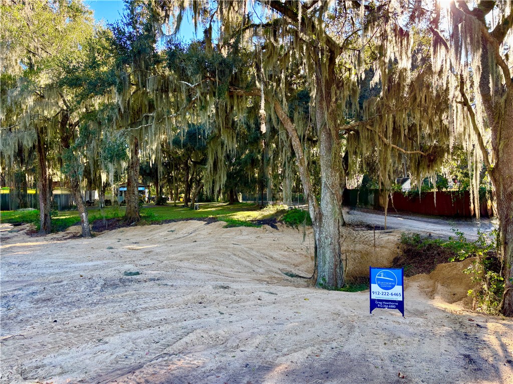 1334 Azalea Avenue Northeast Townsend, GA 31331 - Photo 8 of 20