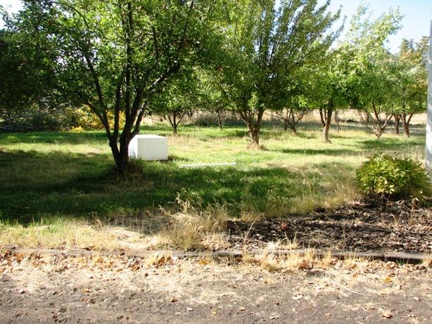 27796 Soldier Mountain Road Fall River Mills, CA 96028 - Photo 5 of 8 orchard