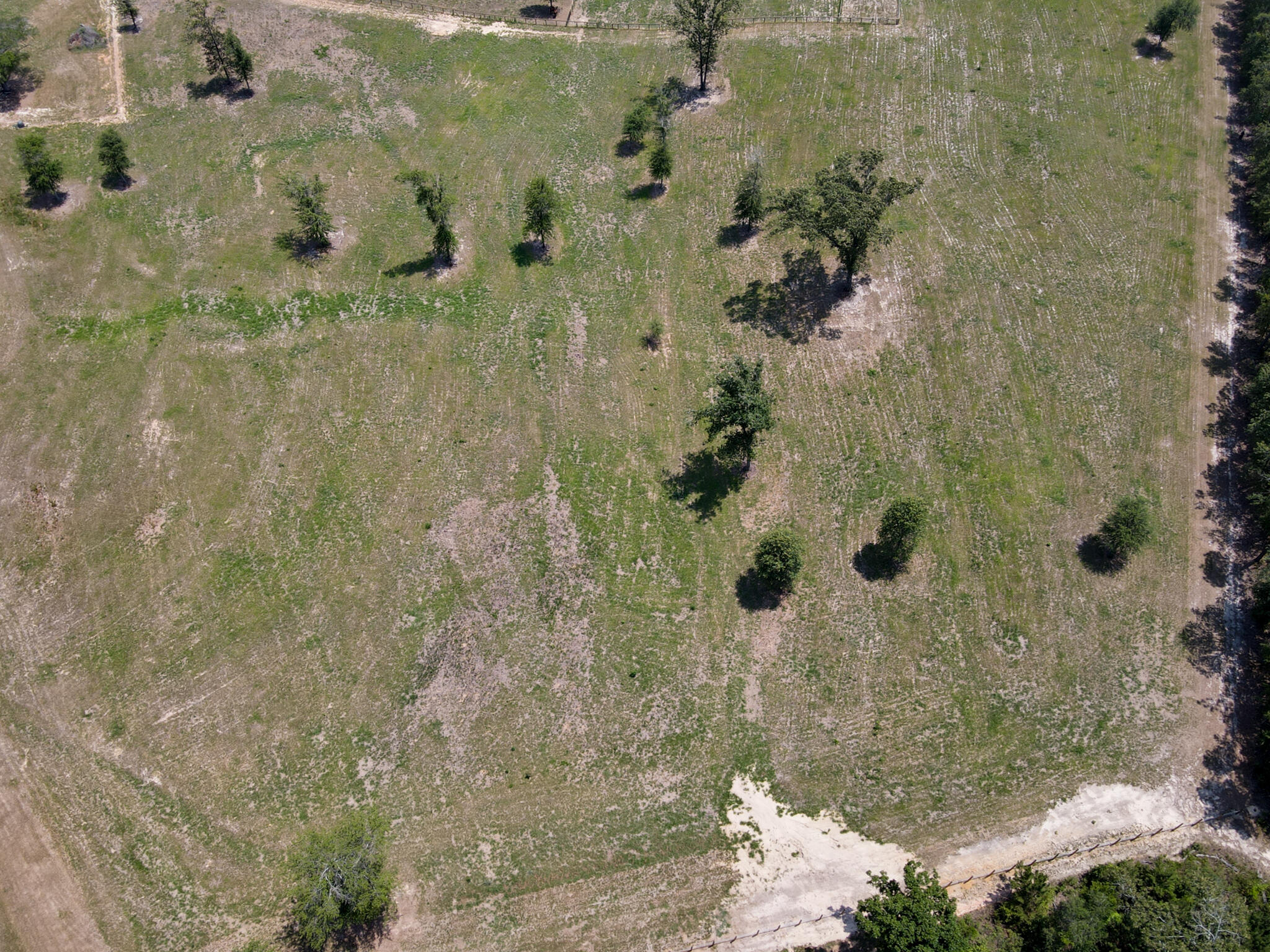 Tbd Shaws Fork Road Aiken, SC 29805 - Photo 18 of 18