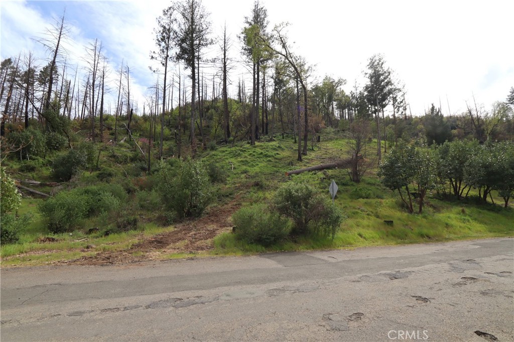 11541 Anderson Springs Road Middletown, CA 95461 - Photo 13 of 19 a view of a forest with trees