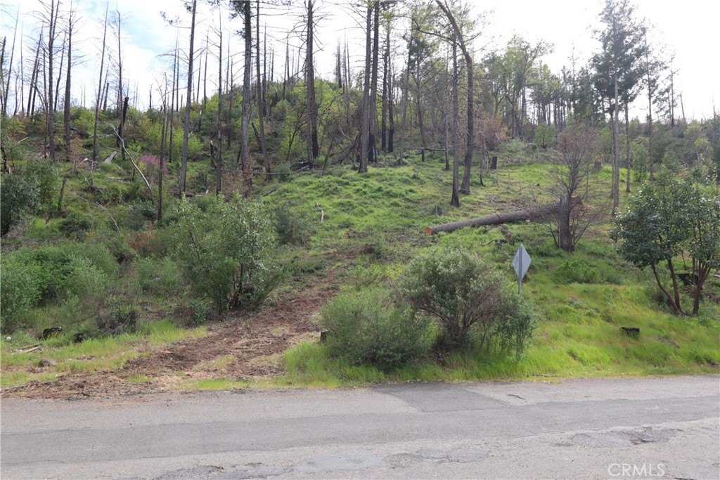 11541 Anderson Springs Road Middletown, CA 95461 - Photo 14 of 19 a view of outdoor space with trees all around