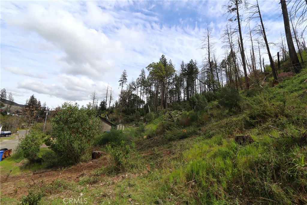 11541 Anderson Springs Road Middletown, CA 95461 - Photo 2 of 19 a view of a yard with large trees