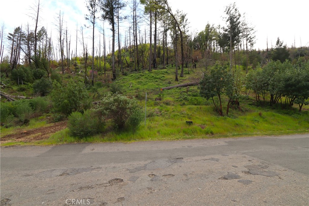 11541 Anderson Springs Road Middletown, CA 95461 - Photo 3 of 19 a view of outdoor space and yard