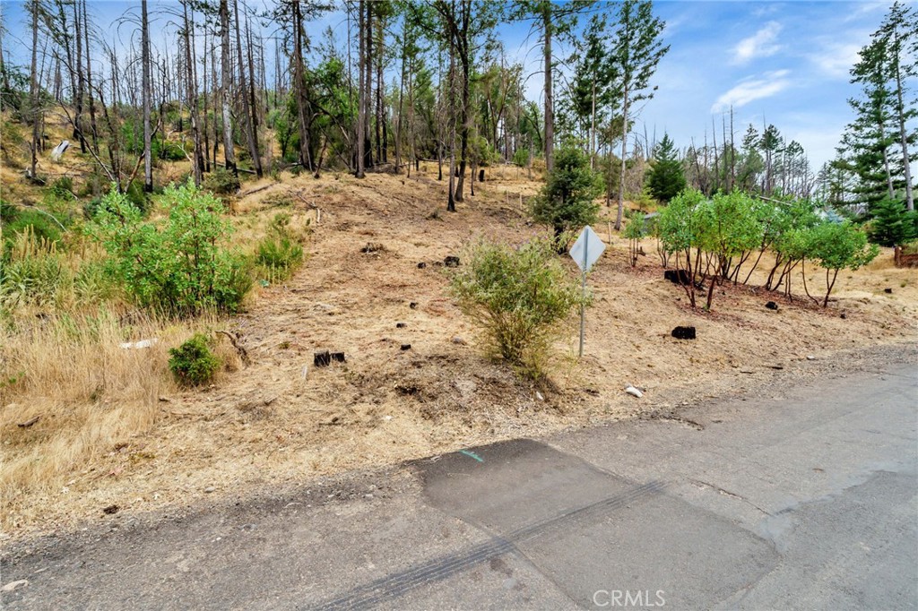 11541 Anderson Springs Road Middletown, CA 95461 - Photo 5 of 19 a view of open space with trees