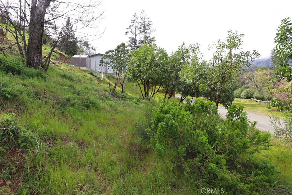 11541 Anderson Springs Road Middletown, CA 95461 - Photo 8 of 19 a view of a lush green space