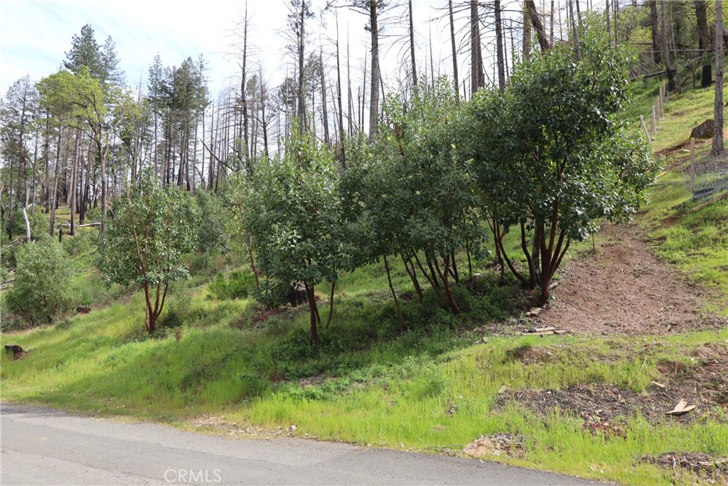 11541 Anderson Springs Road Middletown, CA 95461 - Photo 9 of 19 a view of a yard with plants and a bench