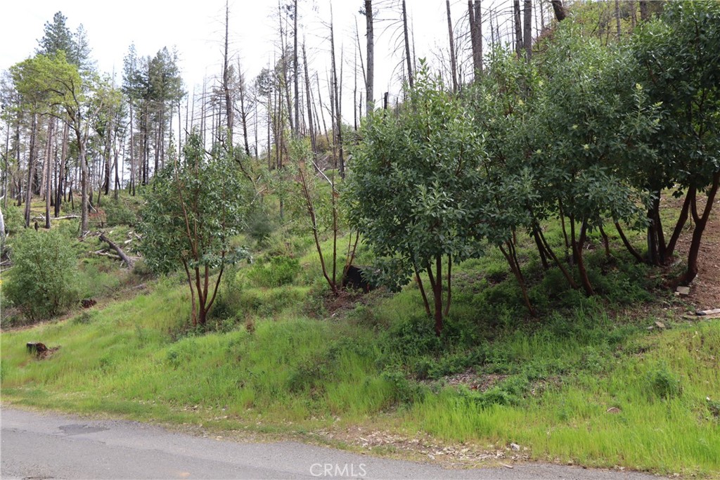 11541 Anderson Springs Road Middletown, CA 95461 - Photo 10 of 19 a view of a lush green forest