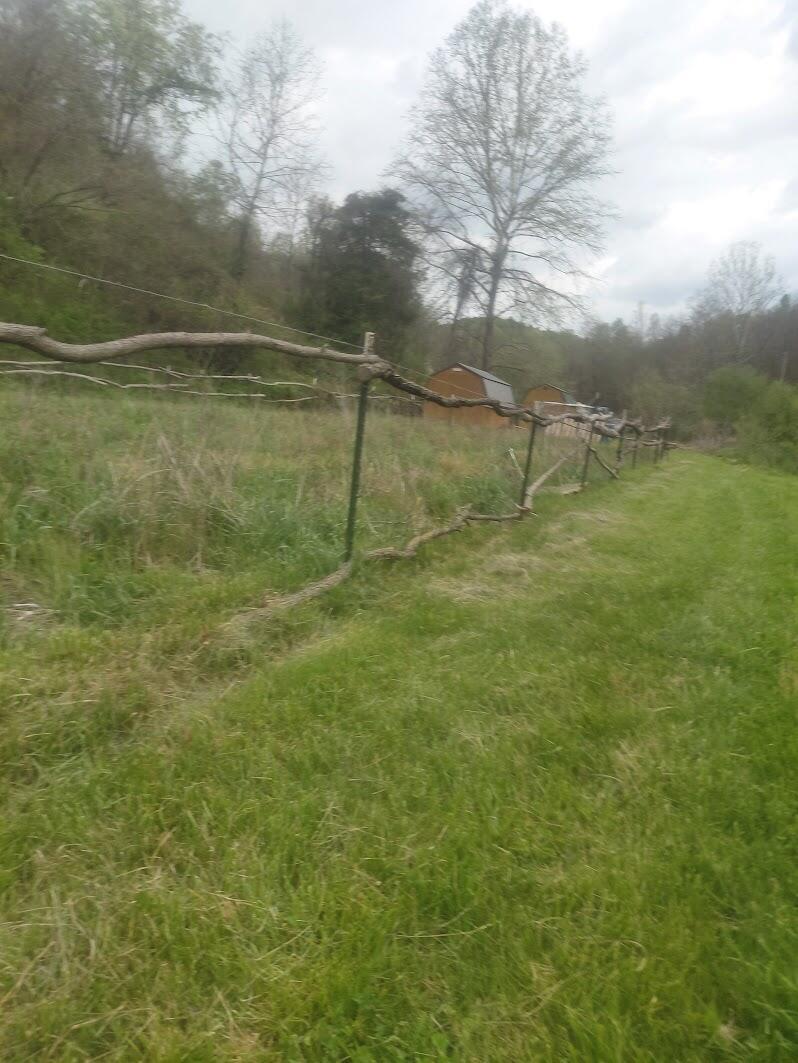 97 Bethel Road Patriot, OH 45658 - Photo 23 of 37 20260418_140349