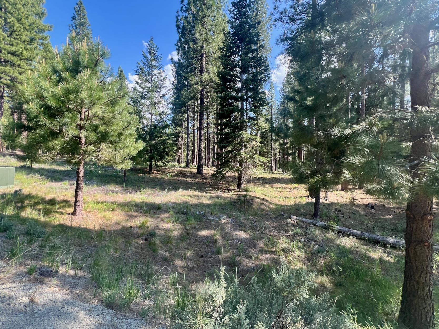 670 Redtail Loop Road Clio, CA 96106 - Photo 8 of 29
