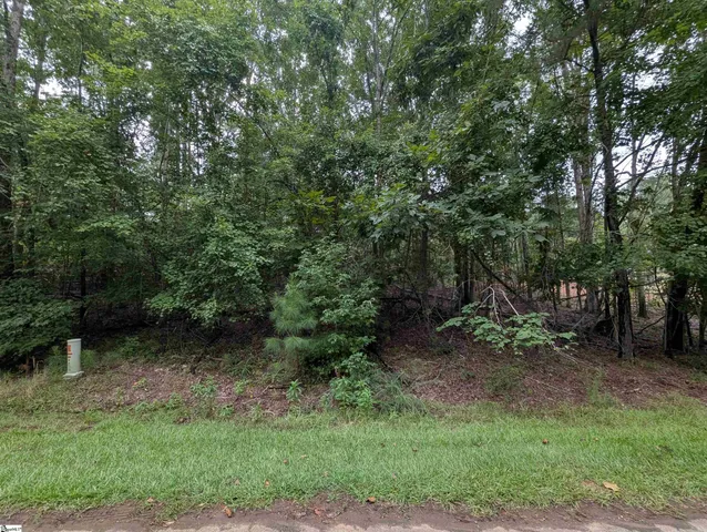 $119,000 | 0 East Peninsula Drive, Unit LOT 134, Laurens, SC 29360