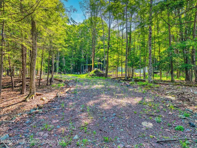 a view of a pathway with a yard