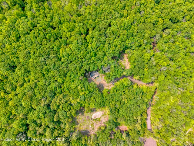 a view of a green field with lots of bushes