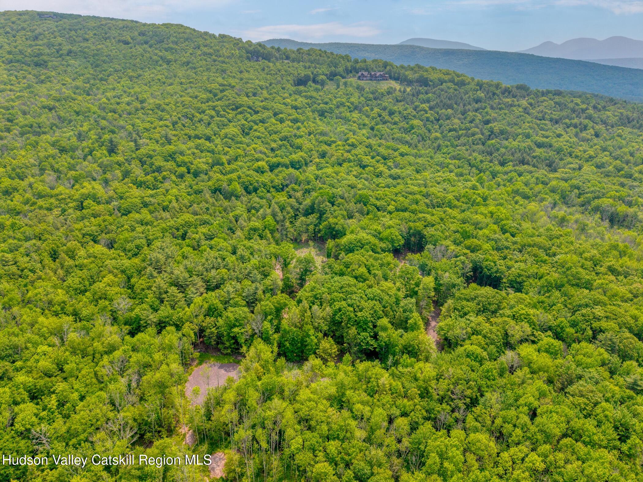 Tbd Tbd Boulder Brook Windham, NY 12496 - Photo 21 of 31 a view of a green field with lots of bushes