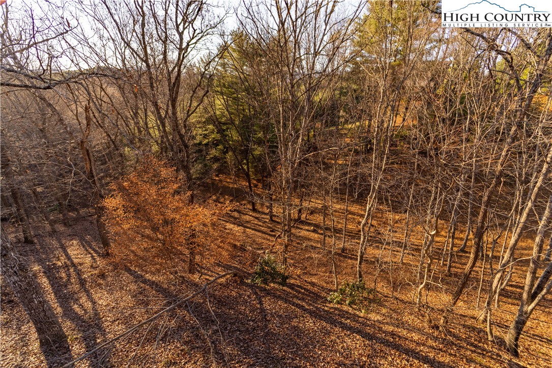 893 Deerwood Road Piney Creek, NC 28663 - Photo 3 of 50 a view of a yard