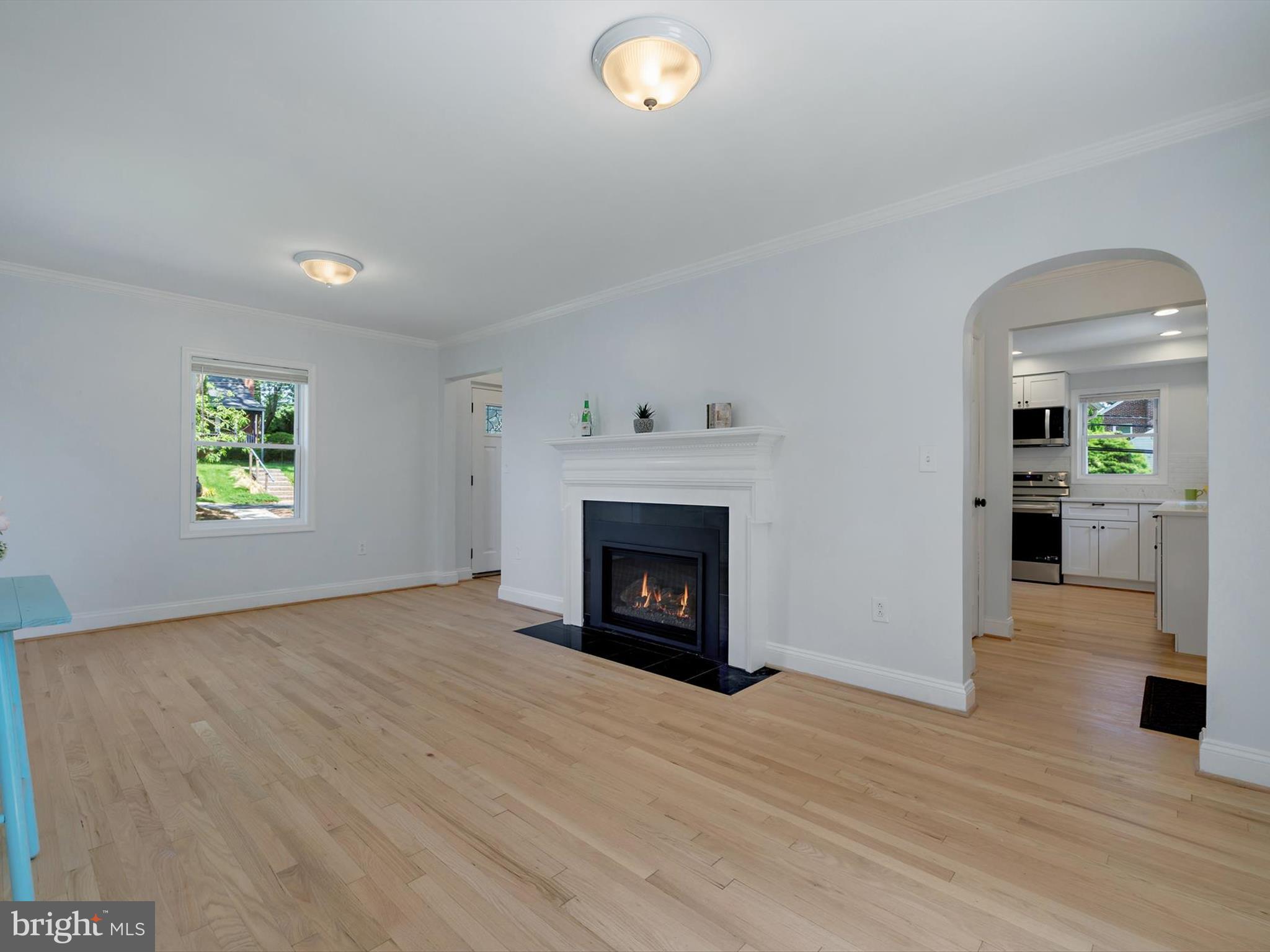 10109 Lorain Avenue Silver Spring, MD 20901 - Photo 14 of 48 a view of a livingroom with a fireplace