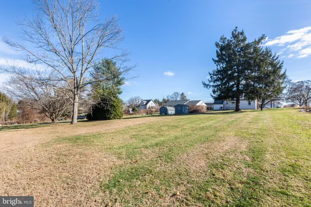 a view of yard and trees