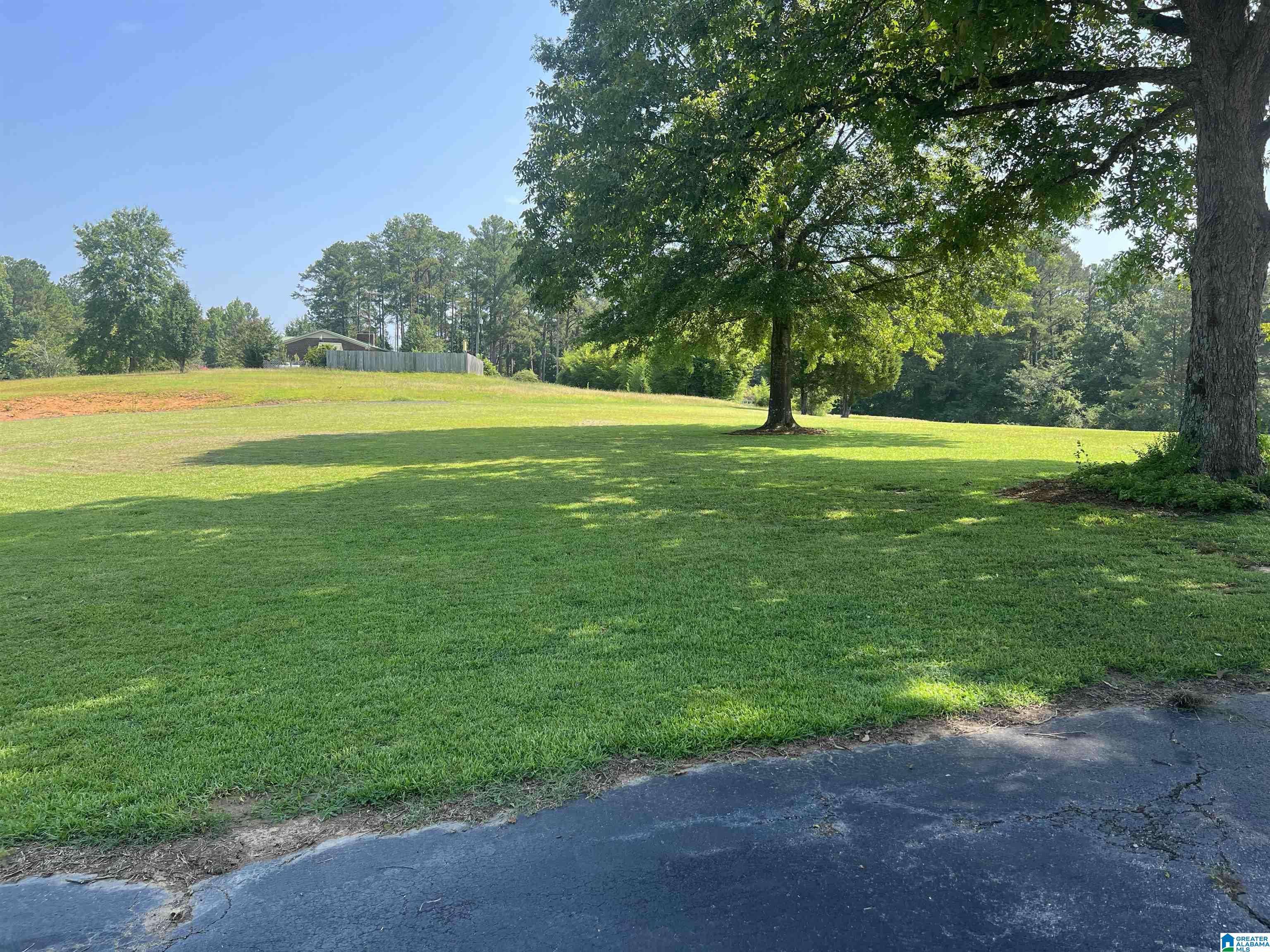737 Armstrong Loop Hayden, AL 35079 - Photo 7 of 34