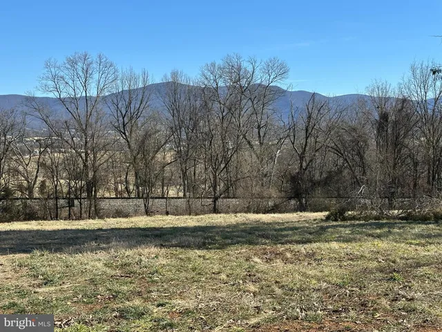 a view of a tree next to a yard