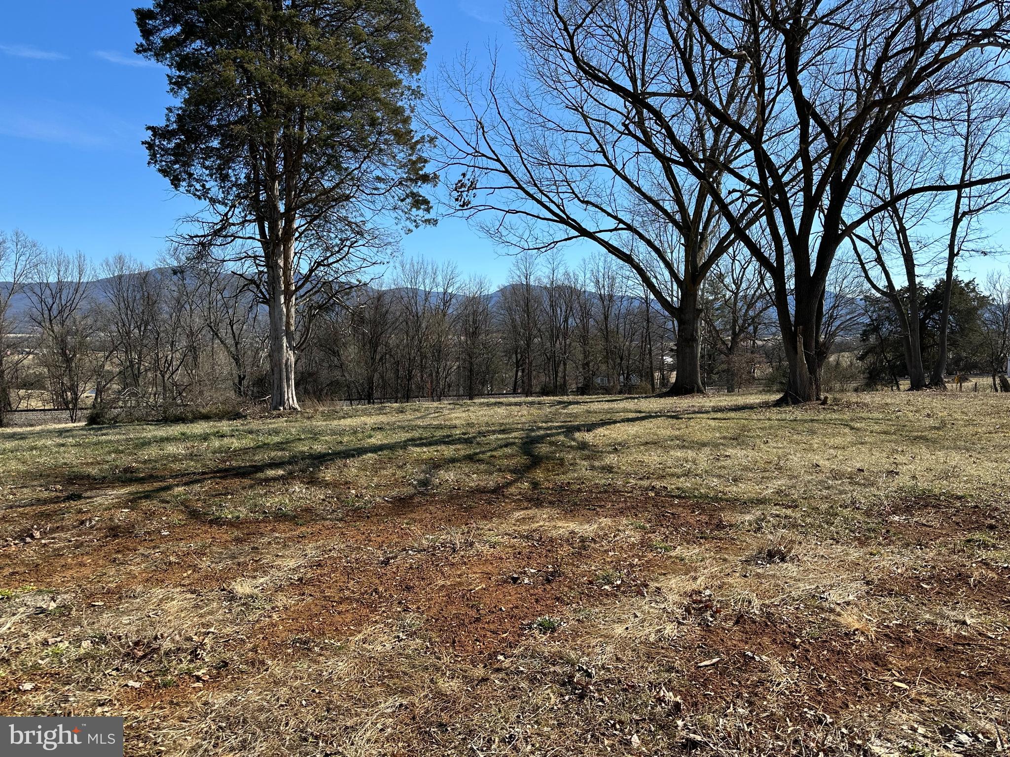 Mill Creek Road Luray, VA 22835 - Photo 5 of 6