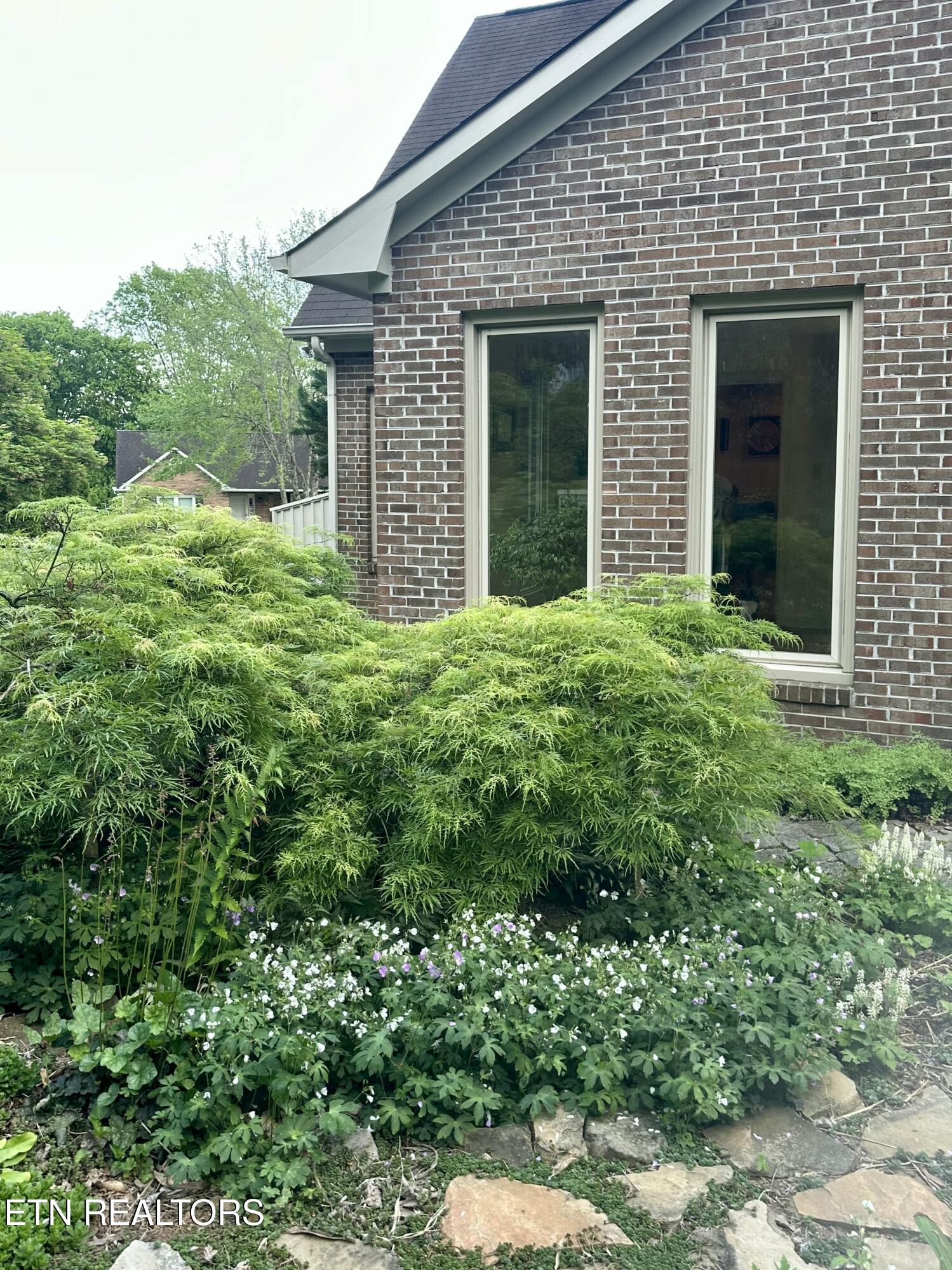 7824 Beckett Ridge Court Powell, TN 37849 - Photo 11 of 52 IMG_9229