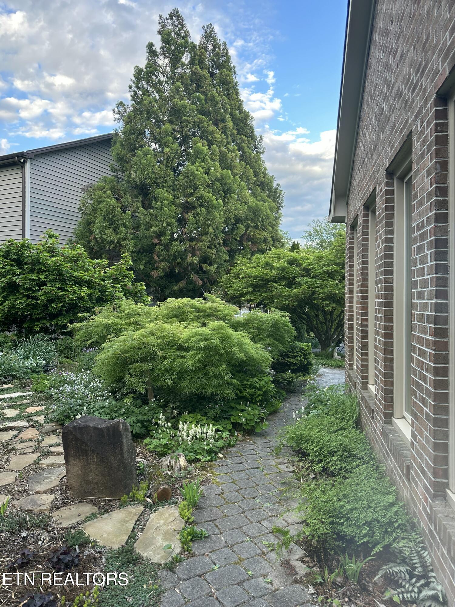 7824 Beckett Ridge Court Powell, TN 37849 - Photo 14 of 52 IMG_9224