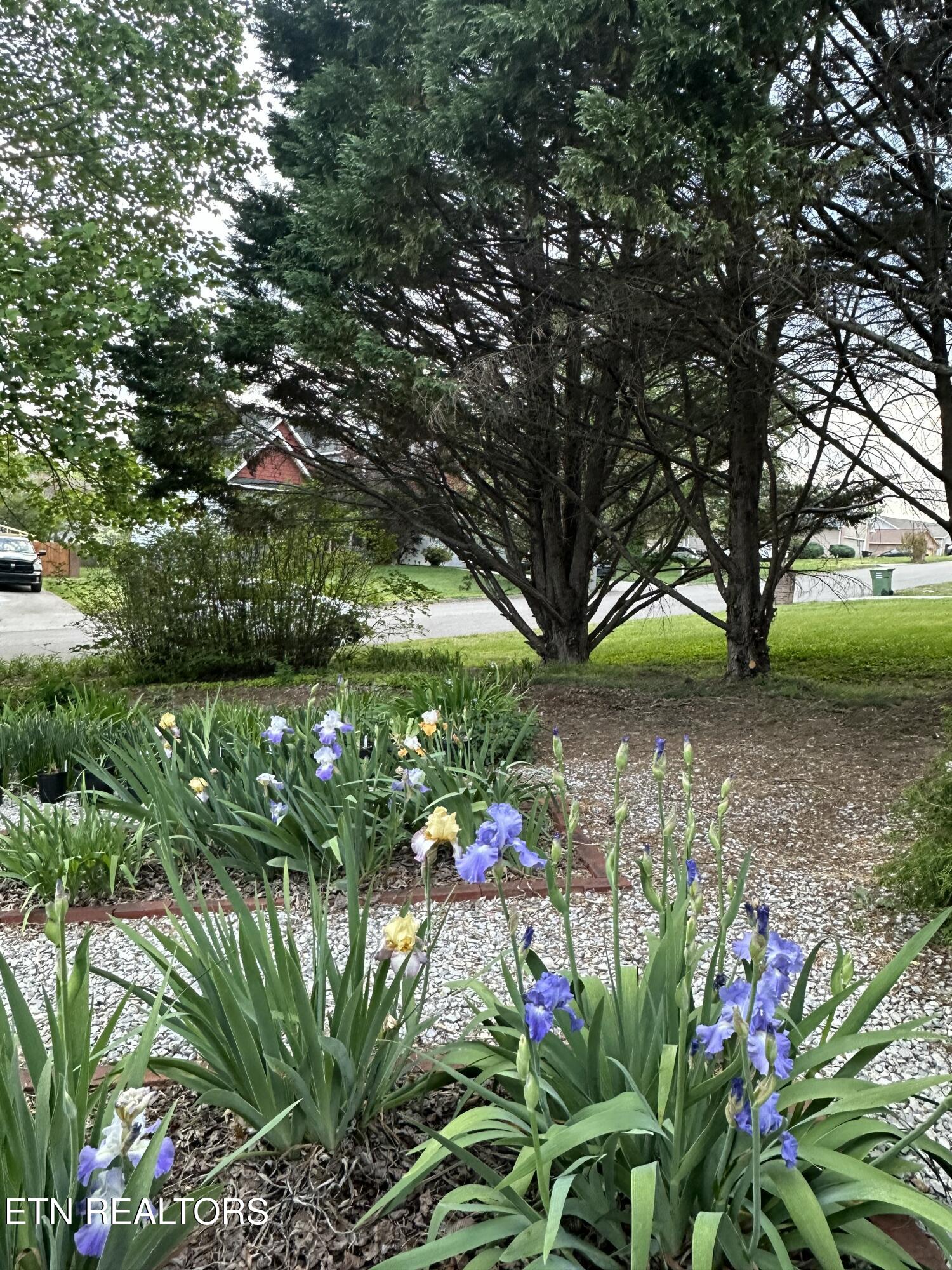 7824 Beckett Ridge Court Powell, TN 37849 - Photo 16 of 52 IMG_9248