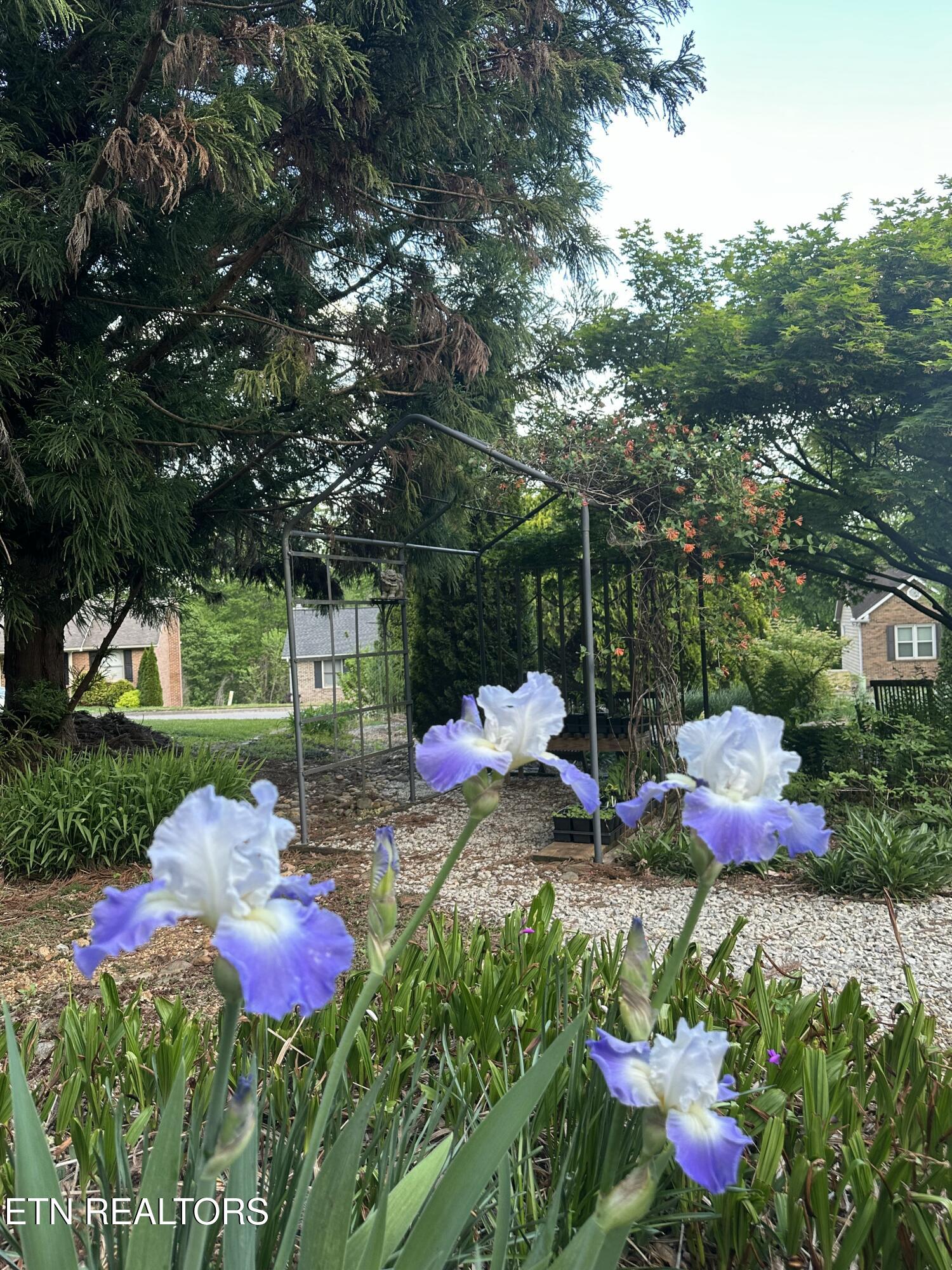 7824 Beckett Ridge Court Powell, TN 37849 - Photo 20 of 52 IMG_9233