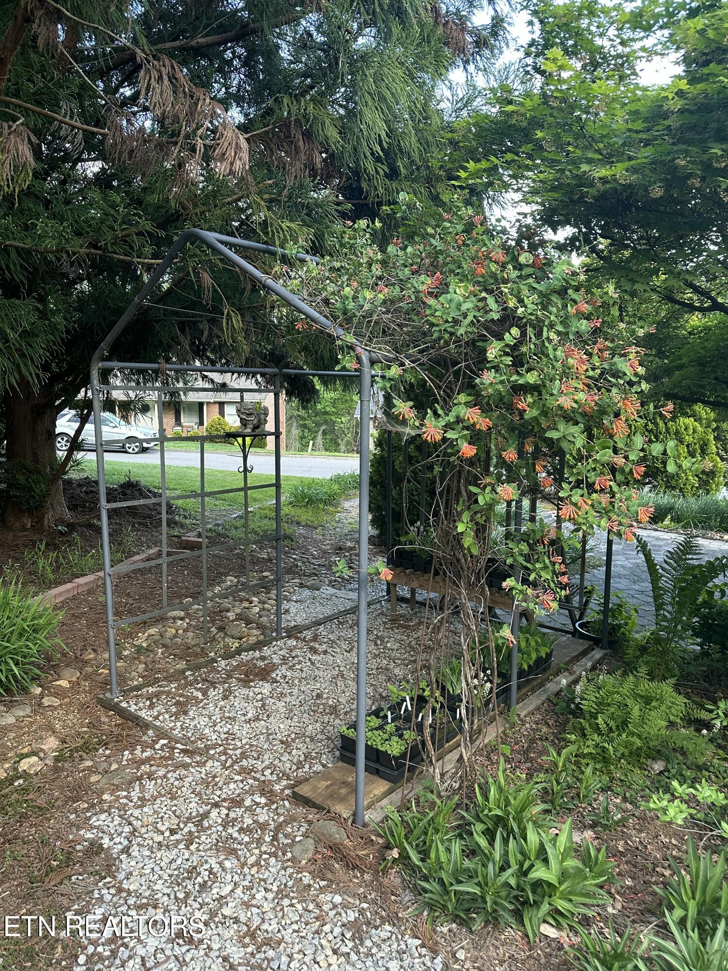 7824 Beckett Ridge Court Powell, TN 37849 - Photo 10 of 52 IMG_9235