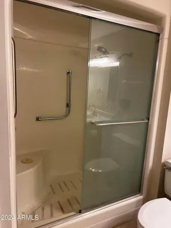 a bathroom with a shower and toilet