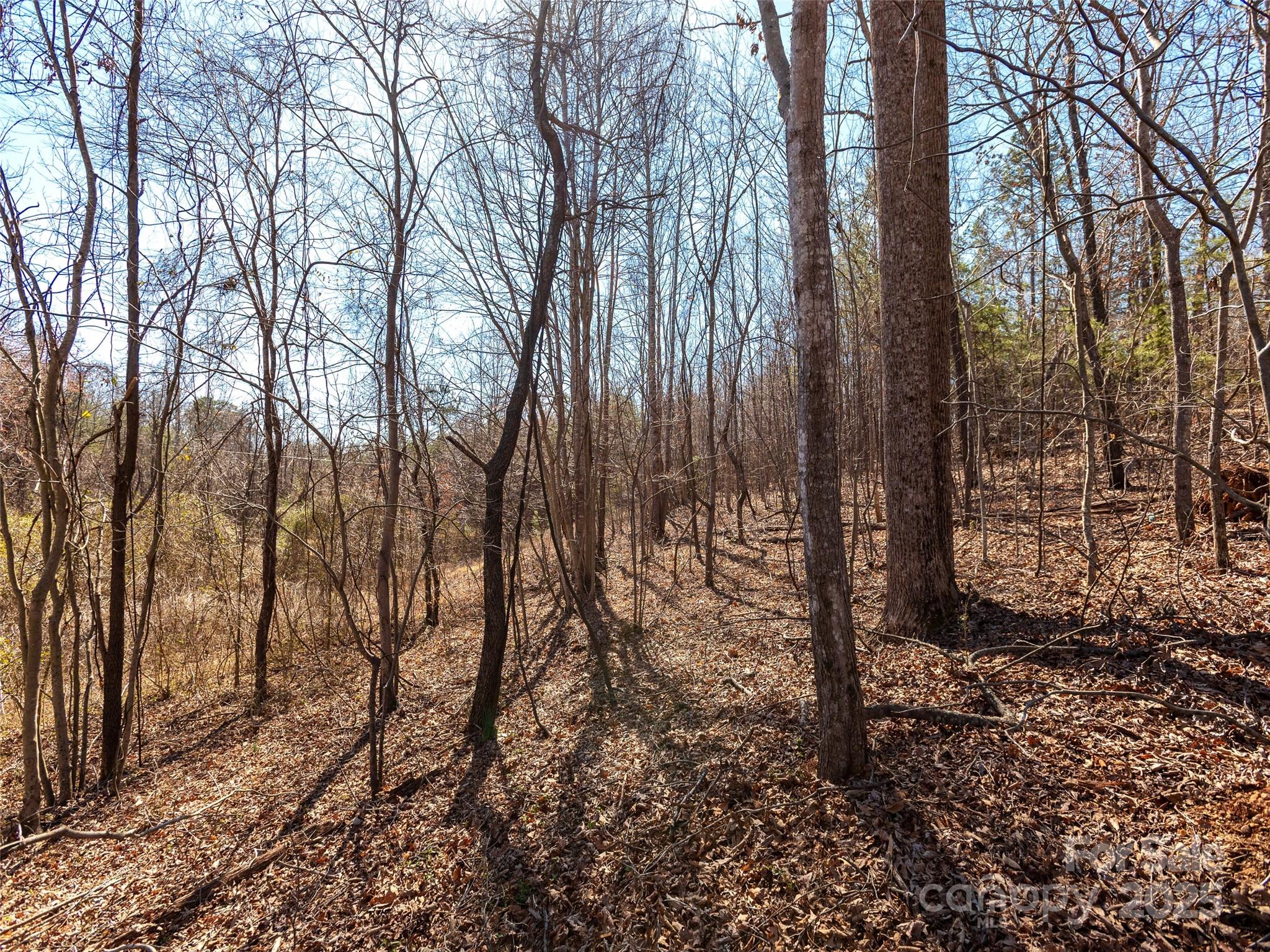 0 George Parker Drive Rutherfordton, NC 28139 - Photo 9 of 12 Gallery Image 9