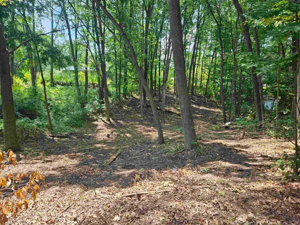 $11,000 | Lot 36 Lakeview Street, Gladwin, MI 48624