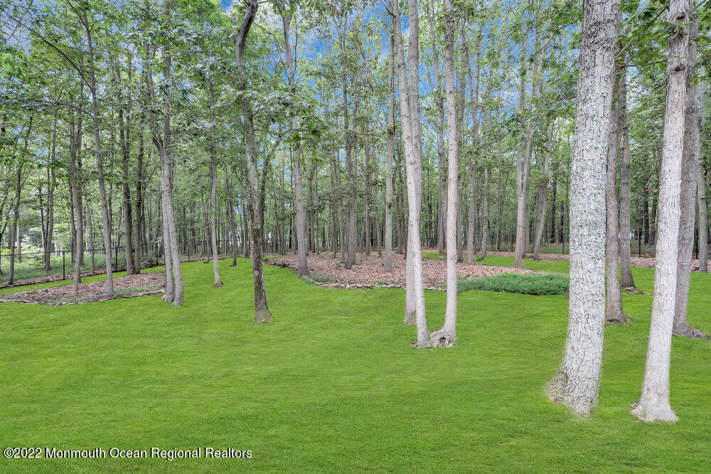 2 Abbey Road Jackson, NJ 08527 - Photo 35 of 37 078_dsc08665-1