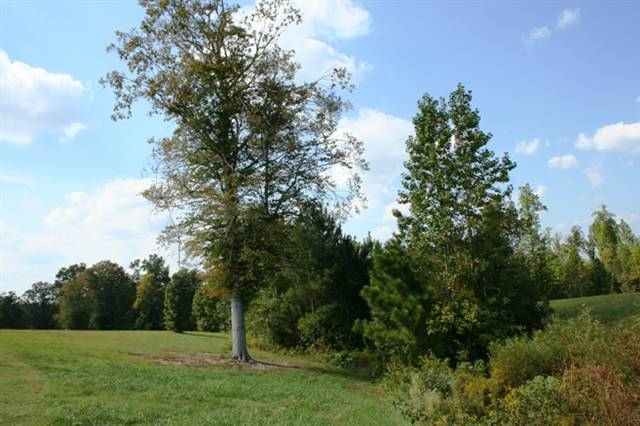 Lot 15 Red Fox Ridge Carthage, NC 28327 - Photo 3 of 9 Additional Photo
