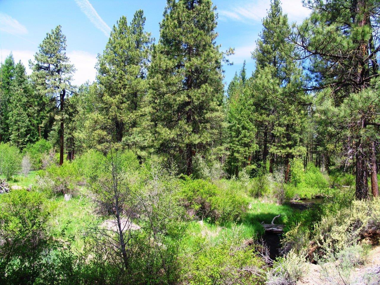 13375 Southwest Fs Rd Camp, Unit 28 Camp Sherman, OR 97730 - Photo 14 of 25 Additional Photo