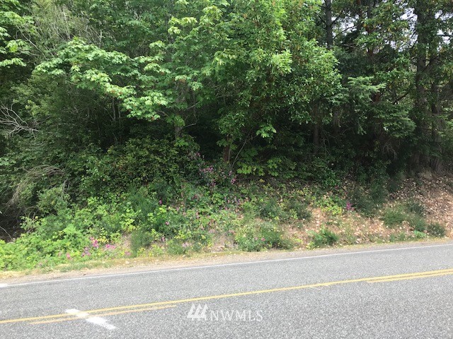 99999999 Northeast North Shore Road Belfair, WA 98528 - Photo 5 of 20 Gallery Image 5