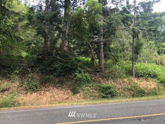 99999999 Northeast North Shore Road Belfair, WA 98528 - Photo 8 of 20 Gallery Image 8