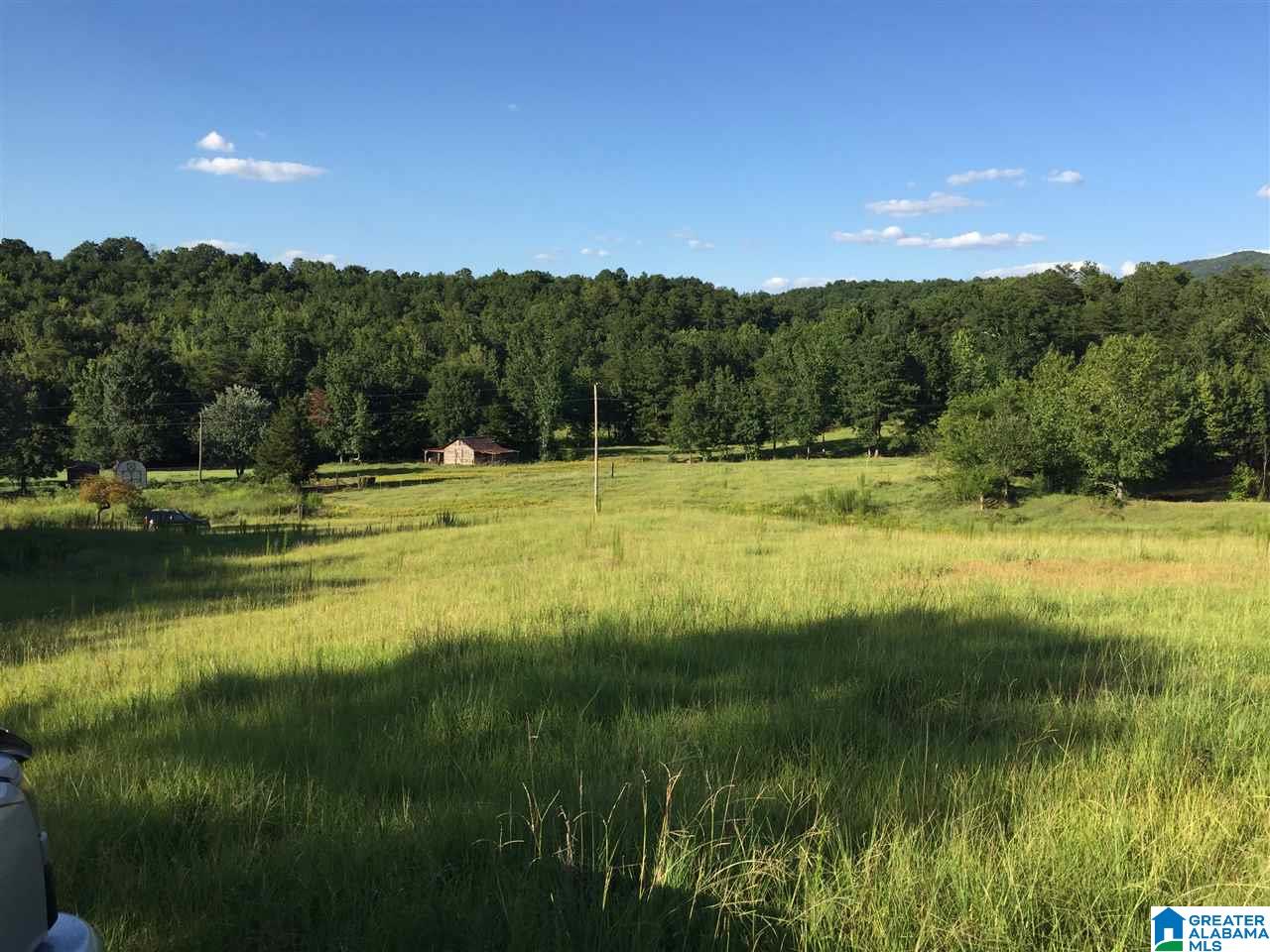 0 Valley Creek Road Piedmont, AL 36272 - Photo 28 of 28